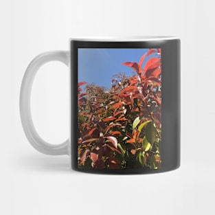 Leaves Mug